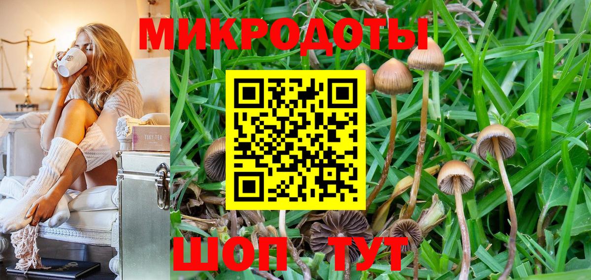Галлюциногенные грибы Psilocybe  Галлюциногенные грибы GOLDEN TEACHER  Вход с VPN  Гурьевск 