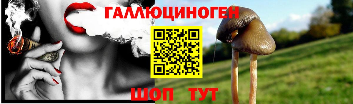 Галлюциногенные грибы Cubensis Гурьевск